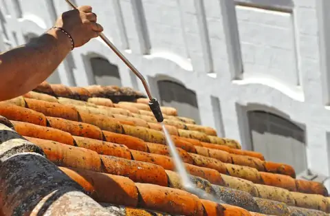 Nettoyage de toitures - Lay-Saint-Christophe